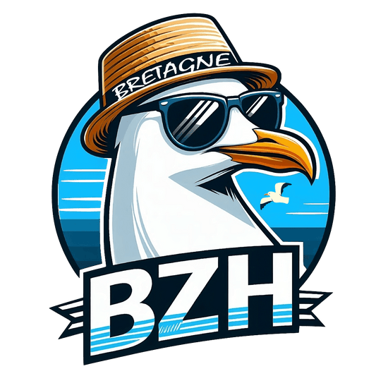 Autocollant Mouette Bretagne BZH : L'esprit breton en un clin d'oeil ! - Autocollant BZH