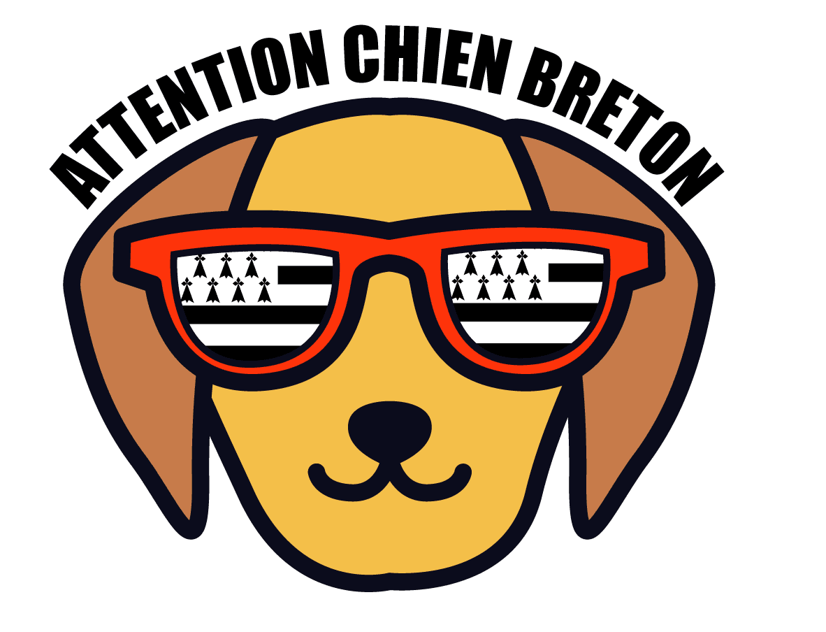 Autocollant Attention Chien Breton - lunettes et drapeau breton - 10x7,6 cm - Autocollant BZH