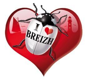 Autocollant Breton Coxylove Coeur Breizh - Autocollant BZH