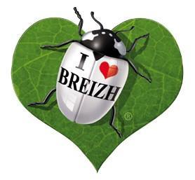 Autocollant Breton Coxylove I LOVE BREIZH Cœur végétal - Autocollant BZH